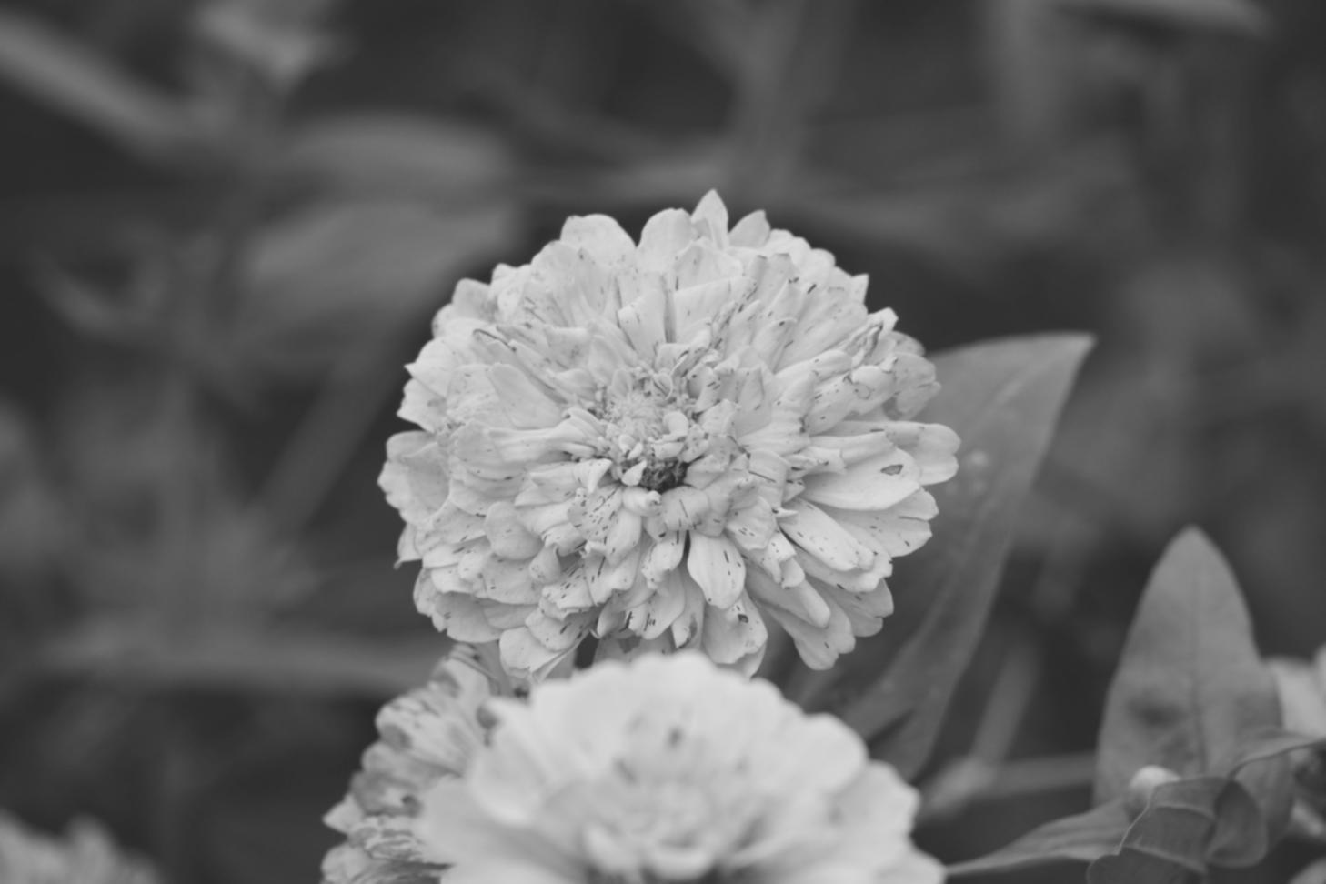 Detailaufnahme von floralen Werkzeugen und Materialien